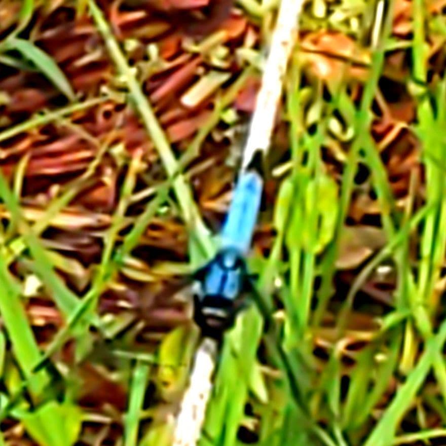 dsc_3786.jpg