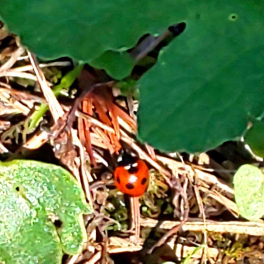 dsc_3417.jpg